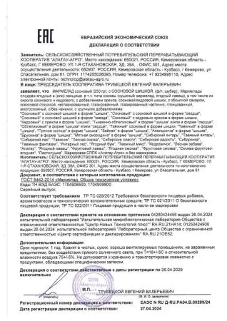 Мармелад сосновый с шишкой "Ёлочка", 90 г Мармелад сосновый с шишкой "Ёлочка", 90 г